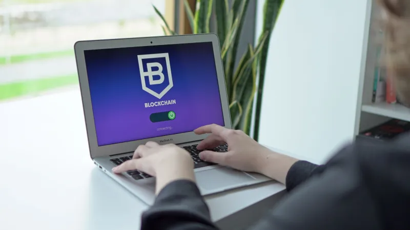 First In, First Burned? What You're Really Signing Up For When You Bet on a Brand-New Blockchain Platform